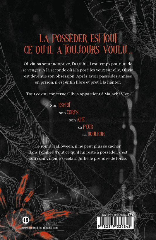 La Toile du silence, Tome 1 : Little Stranger